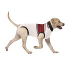 Suitical - Recovery Suit Hund Deutschland Shirt "Fan...