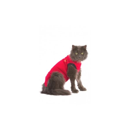Medical Pet Shirt Katze (rot) XXXS